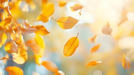 Golden Autumn Leaves Falling in Sunlight