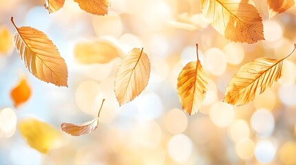 Golden Autumn Leaves Falling on a Sunny Day
