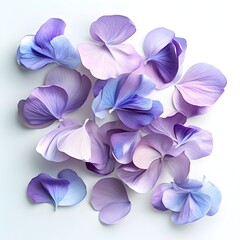 Vibrant Violet Floral Still Life on Ethereal White Background