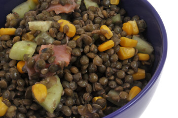 Bol de salade de lentilles du Puy avec du saumon, des morceaux de concombre et du maïs en grains en gros plan sur fond blanc