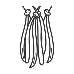 Line Drawing of Hanging Vanilla Beans