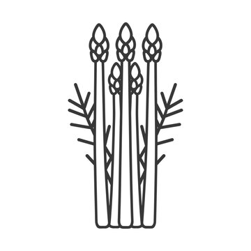 recommend clip art: Line Drawing of Four Asparagus Spears with Leaf Tips