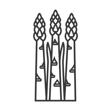 black asparagus stalks simple outline clip art preview