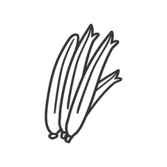 Line Drawing of Three Green Onions