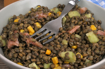 Assiette de salade de lentilles du Puy avec divers ingrédients et une fourchette en gros plan