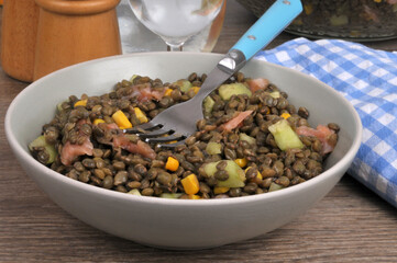 Assiette de salade de lentilles du Puy avec divers ingrédients et une fourchette en gros plan
