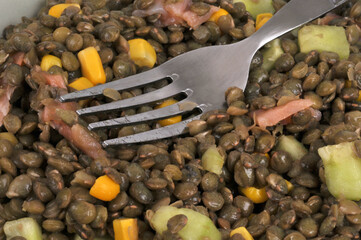Assiette de salade de lentilles du Puy avec divers ingrédients et une fourchette en gros plan