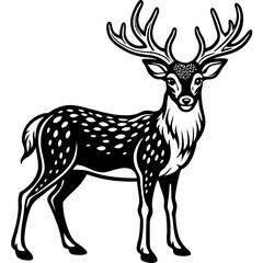 deer vector.deer image.deer icon.Graphic black silhouettes of wild deer – male, female and  roe deer.deer vector illustration.set of deer. Deer, spotted deer, reindeer, black and white silhouette. 