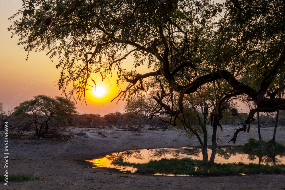 Wall mural sunset at a waterhole, namibia landscape, africa