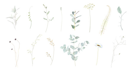 Mix of herbs and plants vector big collection. Rustic wedding greenery. Wildflowers, minimalist leaves and thin dried stems. Watercolor style set.Sage, silver, beige.Elements are isolated and editable © lavendertime