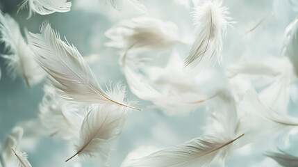 Floating white feathers create serene and ethereal atmosphere, gently drifting against soft, light background.