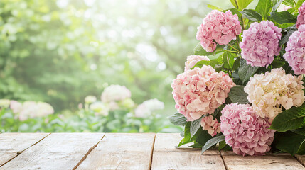 Elegant pink hydrangea bush in lush garden setting, radiating beauty and tranquility.
