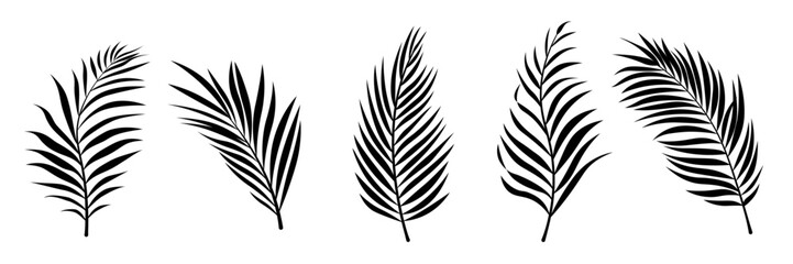 Set of Five Black Palm Leaf Silhouettes