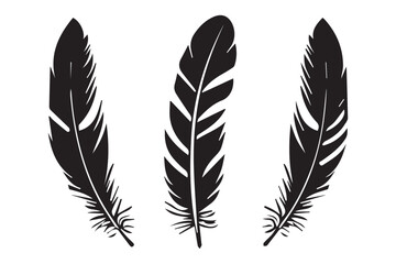 Vintage feathers illustration in black and white engraving style with intricate details hand-drawn