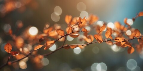 Fototapeta premium abstract asymmetrical light background with warm summer colors.