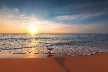 Beautiful sunrise over the sea and seagull into the sand sea.
