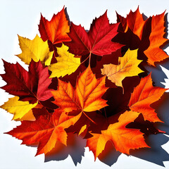 Fototapeta premium A stack of vibrant autumn leaves in various shades of red, orange, and yellow on a white background.