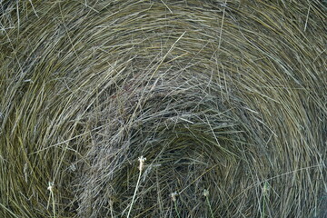 Bale of hay - close-up photograph