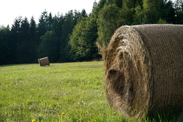 Round bales of hay on meadow © PX Media