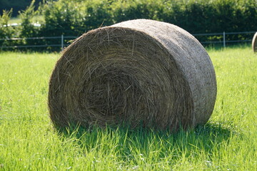 Round bale of hay on meadow