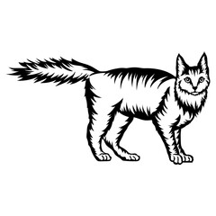 Cat Collection Extra Files -Turkish Angora Cat