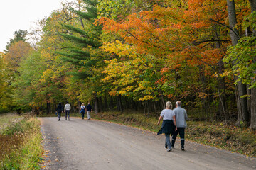 People are walking in the autumn forest trail. Mont-Saint-Bruno National Park. Saint-Bruno-de-Montarville, Quebec, Canada.