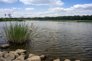 Odra - rzeka wyznaczająca granicę państw między Polską a Niemcami © qrrr