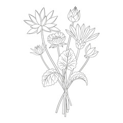 Wildflower bouquet with different meadow flowers and wild plants. Line art, minimal style, contour. Botanical hand-drawn elements for design projects. Vector illustration