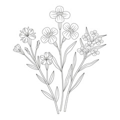 Wildflower bouquet with different meadow flowers. Line art, minimal style, contour. Botanical hand-drawn elements for design projects. Vector illustration