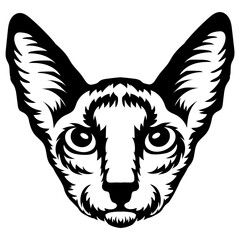 Cornish Rex Cat Face