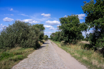 Kamienista, wyboista zapomniana droga łącząca małe wsie idealna na spacer © qrrr