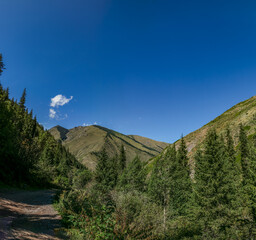 landscape with blue sky