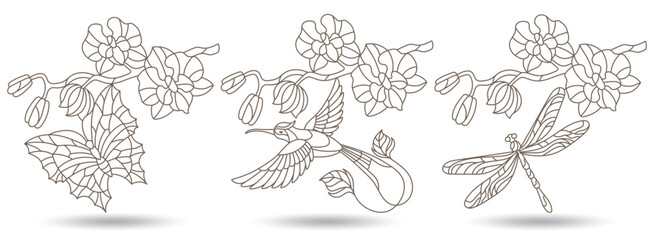 A set of contour illustrations of stained glass Windows with Hummingbird, butterflies, dragonflies and orchids