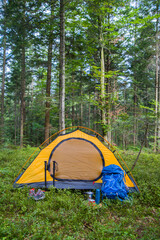 Camping in the forest. The tent is in a clearing in the forest among the trees.