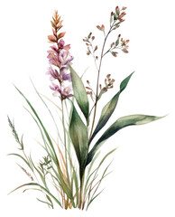 PNG Elegant watercolor botanical illustration