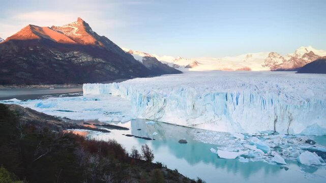 Perito Moreno Glacier in the morning with tree branches in the foreground