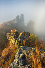 fog in the canyon. Autumn morning in the Dnister river valley. Nature of Ukraine