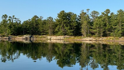 reflection of trees in water