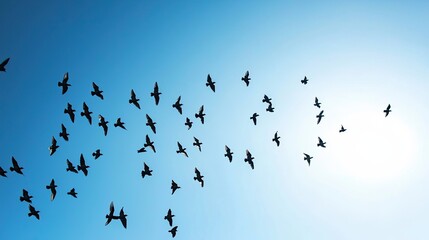 A flock of birds flying in formation against a clear blue sky, capturing a sense of freedom and movement.