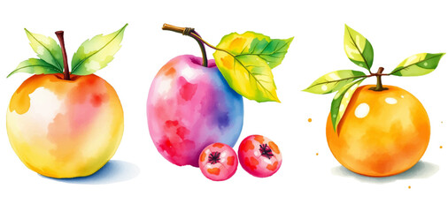 apple and orange watercolor art design