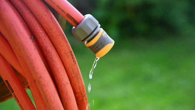 water dripping from hose, gardening, watering plants, saving water, with copy space
