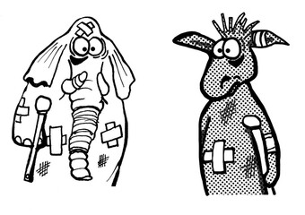 Elephant and donkey conflict resolution