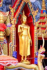 Obraz premium golden buddha statue