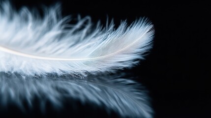 Obraz premium This enchanting image showcases a delicate white feather resting on a reflective black surface, symbolizing purity, lightness, and tranquility in a minimalist composition.