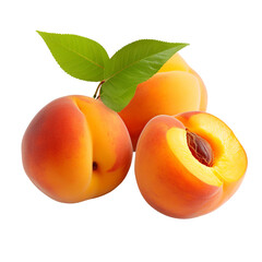 fresh apricots with leaves
