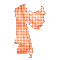 Scarf with plaid style