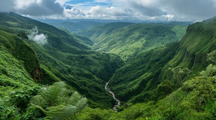 Fototapeta premium panoramic view of a lush green valley with a river