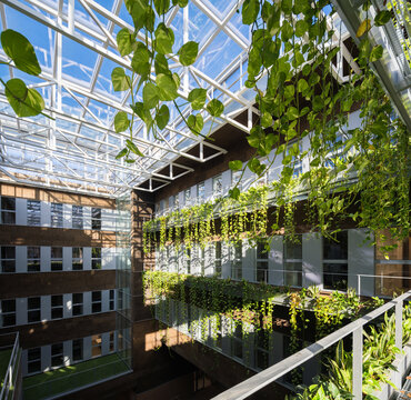 Modern university atrium with lush greenery and glass ceiling