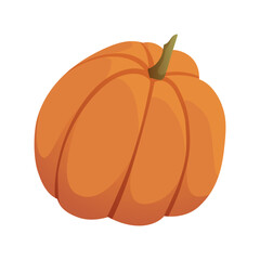 Ripe orange pumpkin. Healthy organic vegetable. Fall harvest gourds. Thanksgiving and Halloween autumn pumpkin. Flat vector cartoon illustration isolated on white background.
