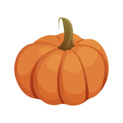 Ripe orange pumpkin. Healthy organic vegetable. Fall harvest gourds. Thanksgiving and Halloween autumn pumpkin. Flat vector illustration isolated on white background.